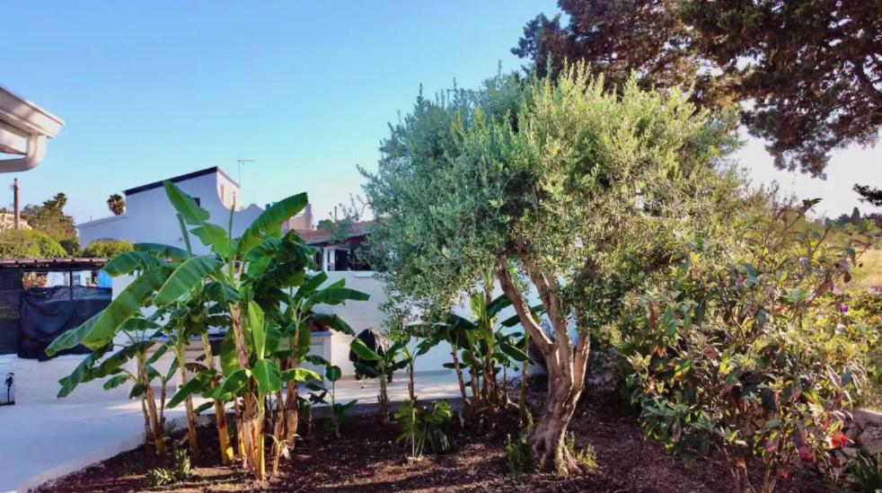 Villa Mare Blue Sr Nuovissima Villa 150M Dal Mare Adatta A Bambini Terrauzza Exterior photo